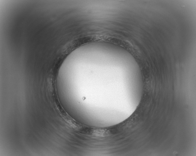 X0000068730757200605121518