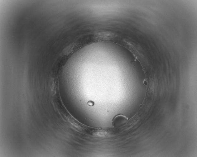 X0000068730759200605121518