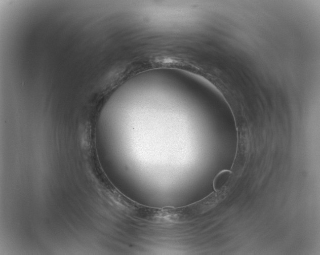 X0000068730760200605121518