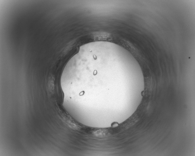 X0000068730761200605121518