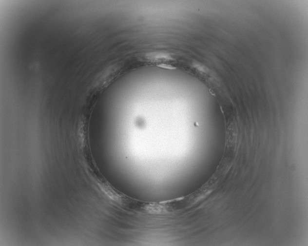 X0000068730762200605121518