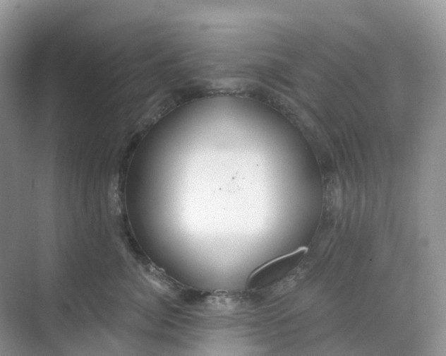 X0000068730764200605121518