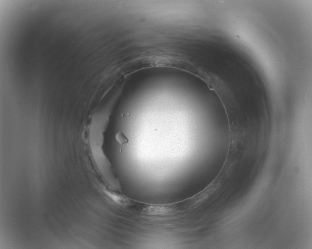 X0000068730766200605121518