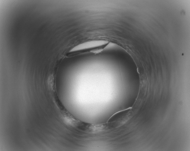 X0000068730767200605121518