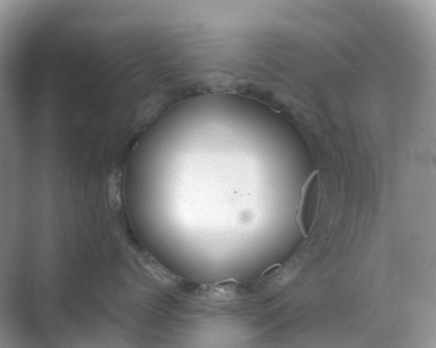 X0000068730768200605121518