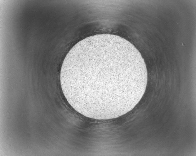 X0000068730769200605121517