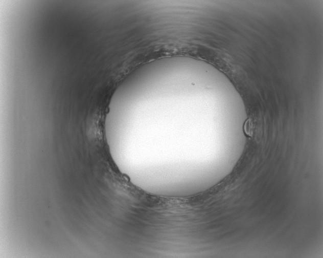 X0000068730770200605121517