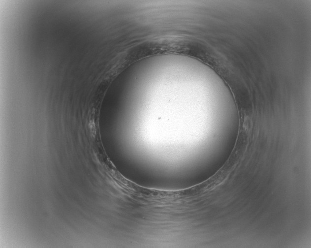 X0000068730771200605121517