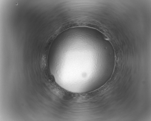 X0000068730772200605121517