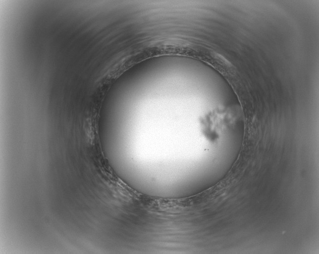 X0000068730774200605121517