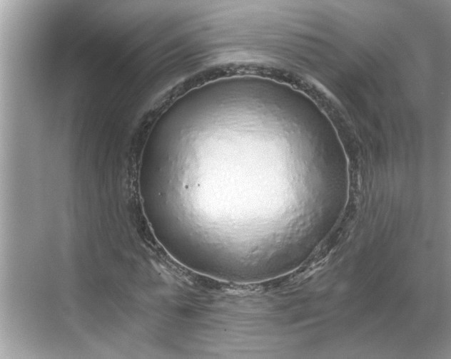 X0000068730775200605121517