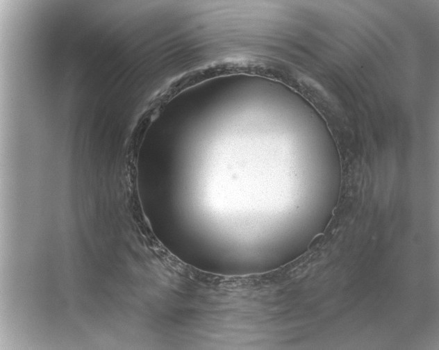 X0000068730776200605121517