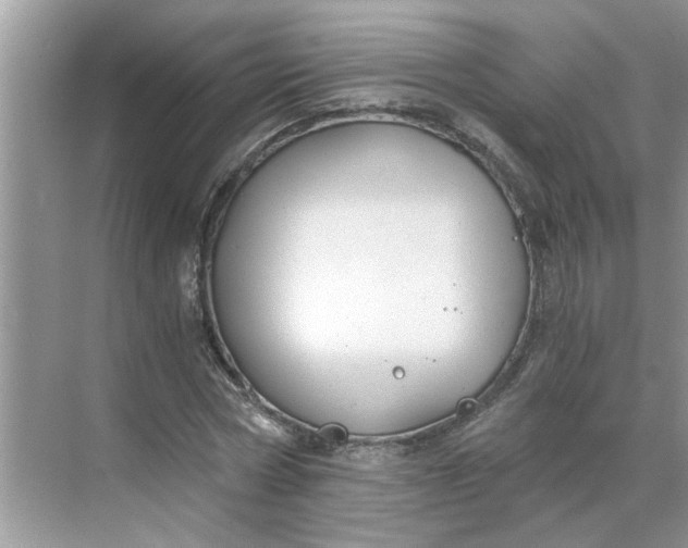 X0000068730778200605121517