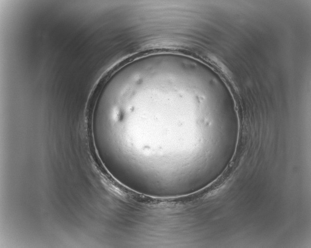 X0000068730779200605121517