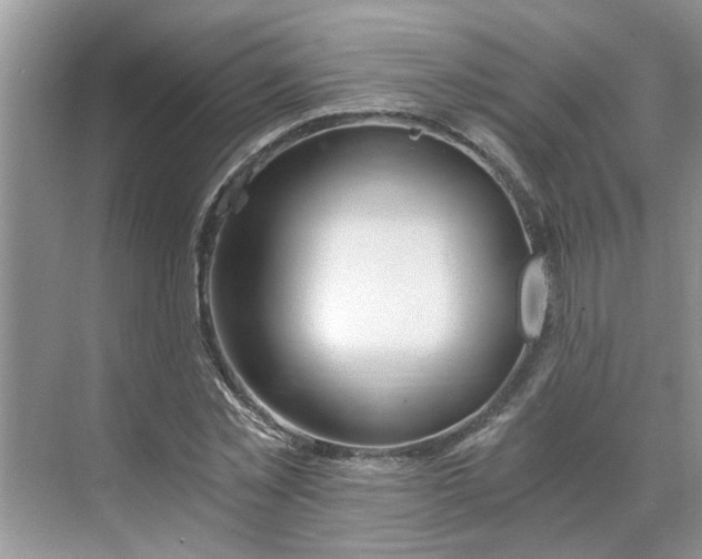 X0000068730781200605121517