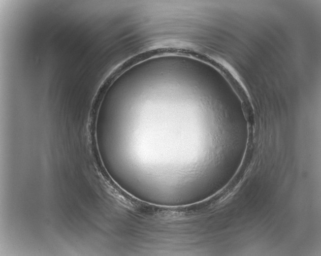 X0000068730783200605121517