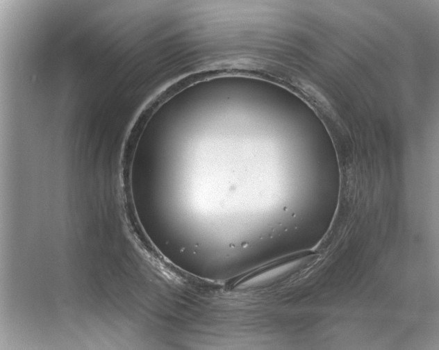 X0000068730784200605121517