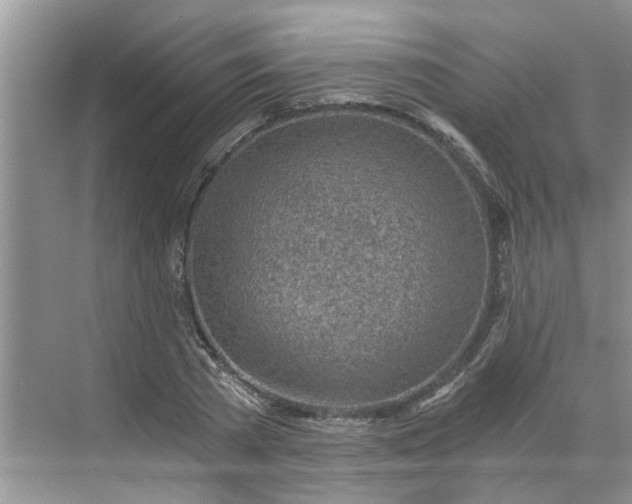 X0000068730785200605121517