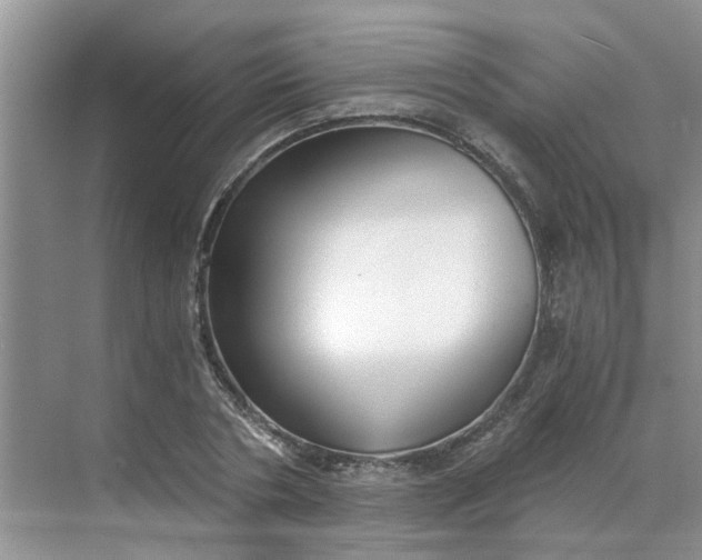 X0000068730786200605121517