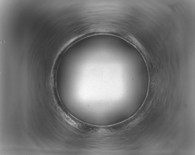 X0000068730787200605121517