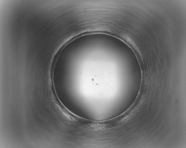 X0000068730789200605121517