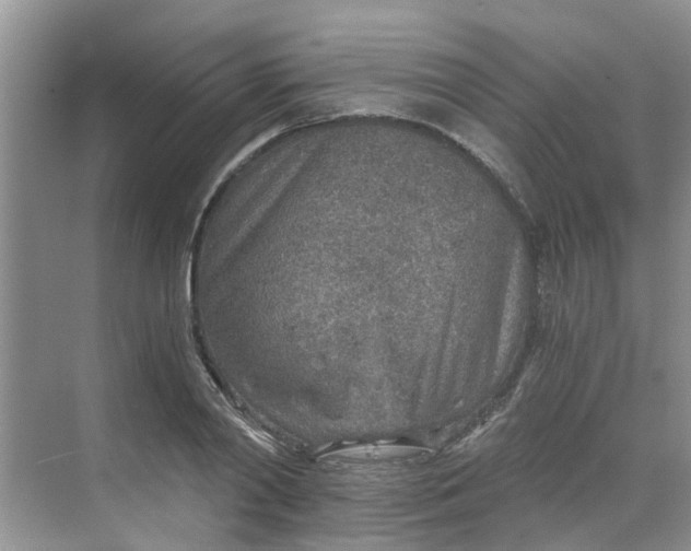 X0000068730790200605121517