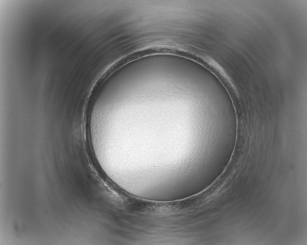 X0000068730791200605121517