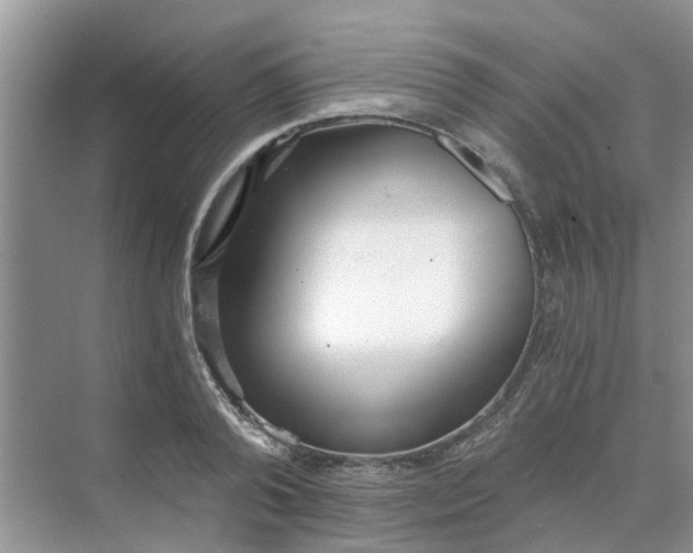 X0000068730792200605121517