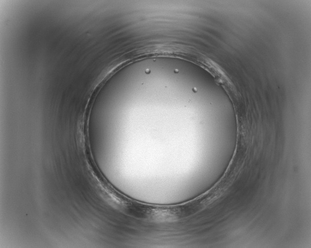 X0000068730794200605121517