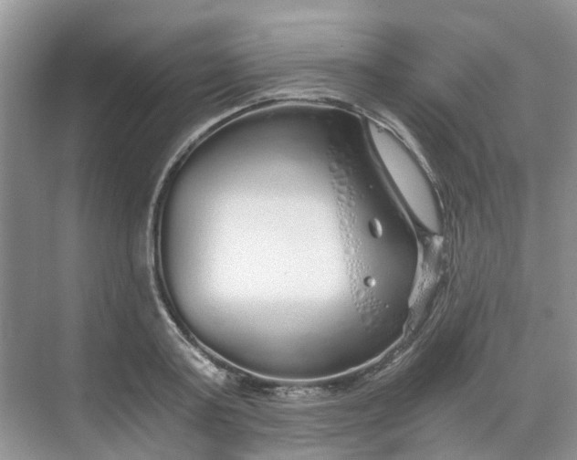 X0000068730795200605121517