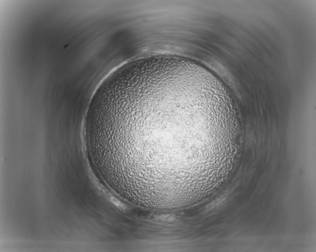 X0000068730798200605121516