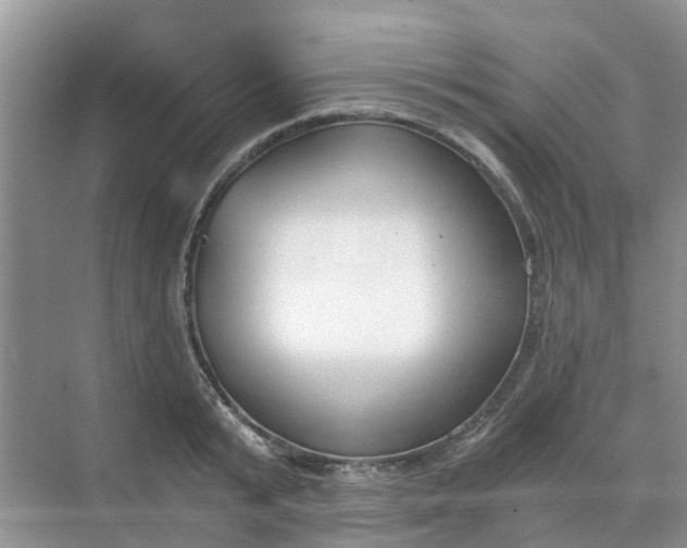 X0000068730799200605121516