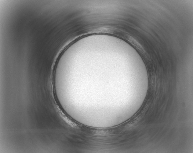 X0000068730800200605121516