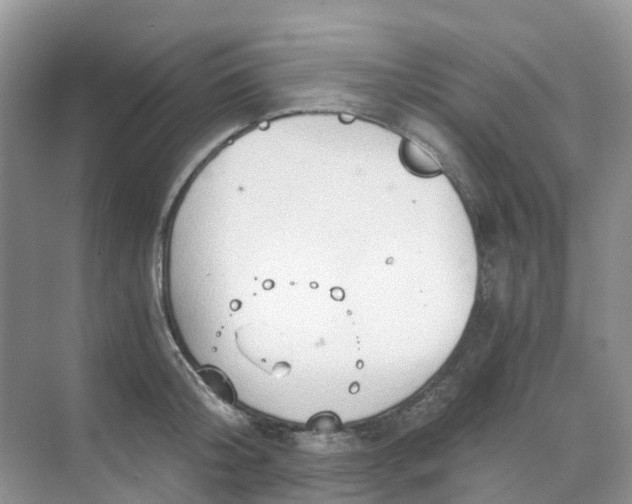 X0000068730804200605121516