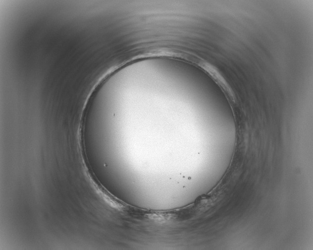 X0000068730805200605121516