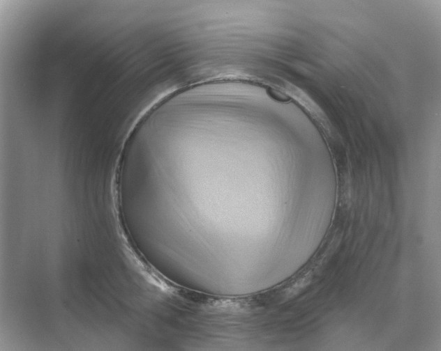 X0000068730806200605121516