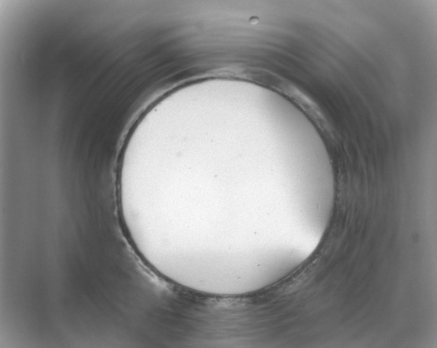 X0000068730808200605121516