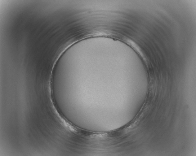 X0000068730810200605121516