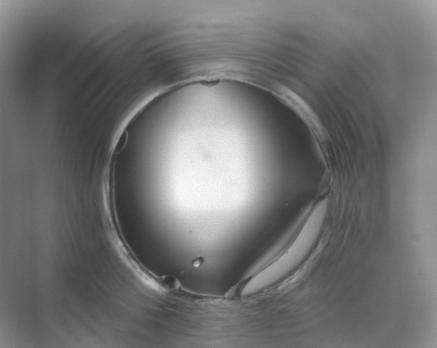 X0000068730812200605121516