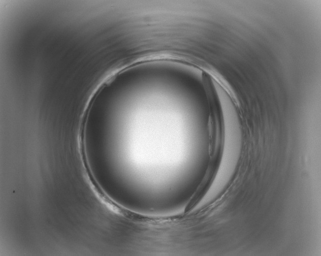 X0000068730813200605121516