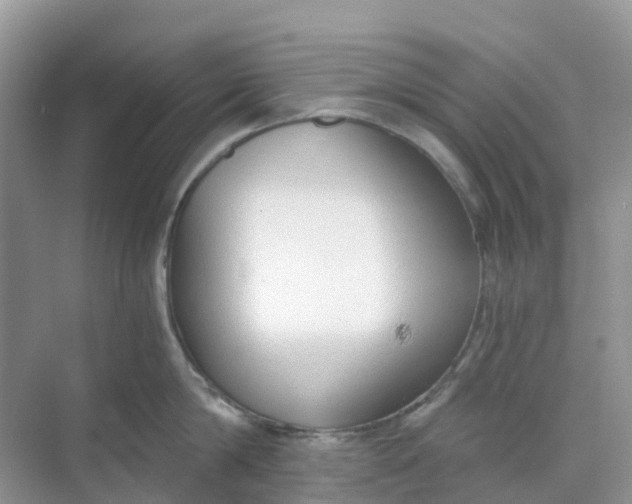 X0000068730814200605121516