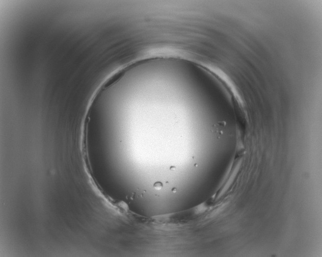 X0000068730815200605121516