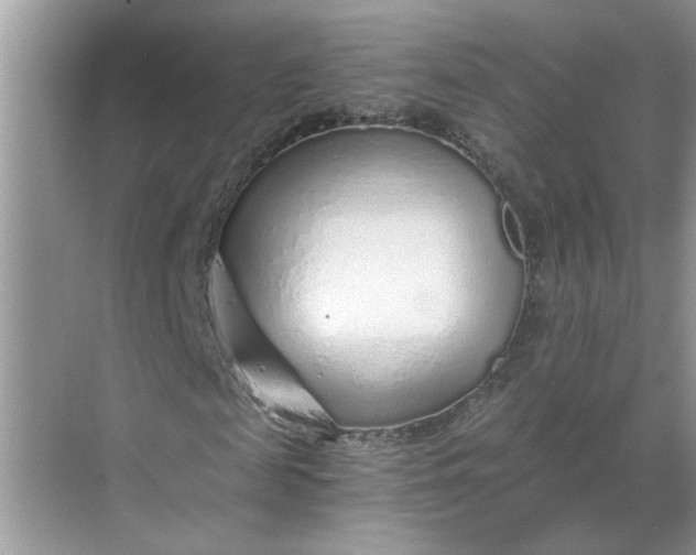 X0000068730817200605121515