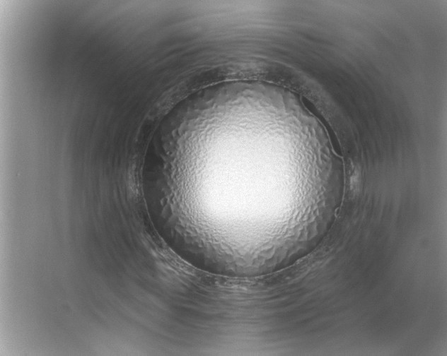 X0000068730819200605121515