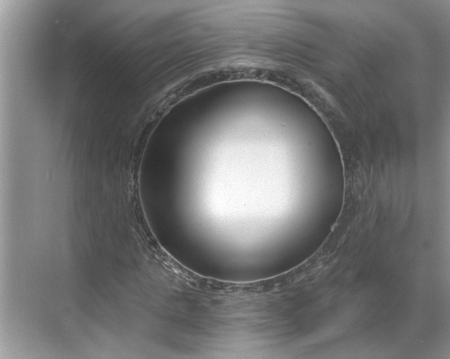 X0000068730821200605121515