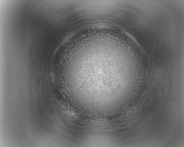 X0000068730823200605121515