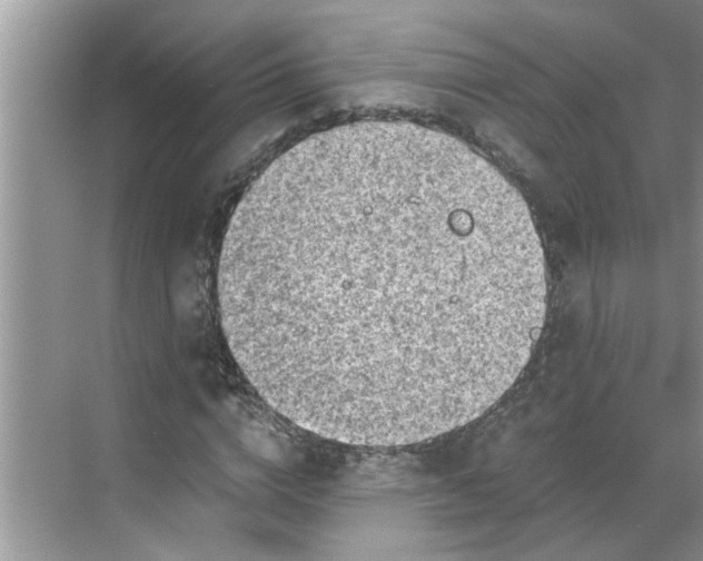 X0000068730824200605121515