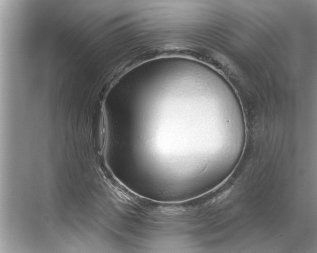 X0000068730825200605121516