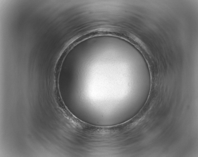 X0000068730829200605121516