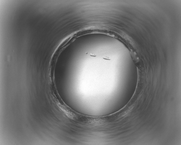 X0000068730830200605121516